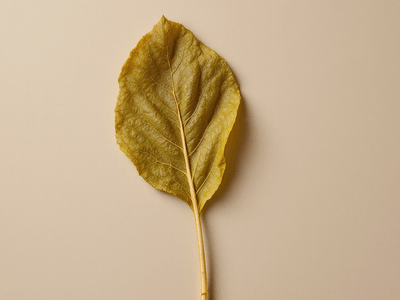 Sambal Sweet Potato Leaves