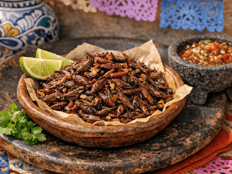 Chapulines